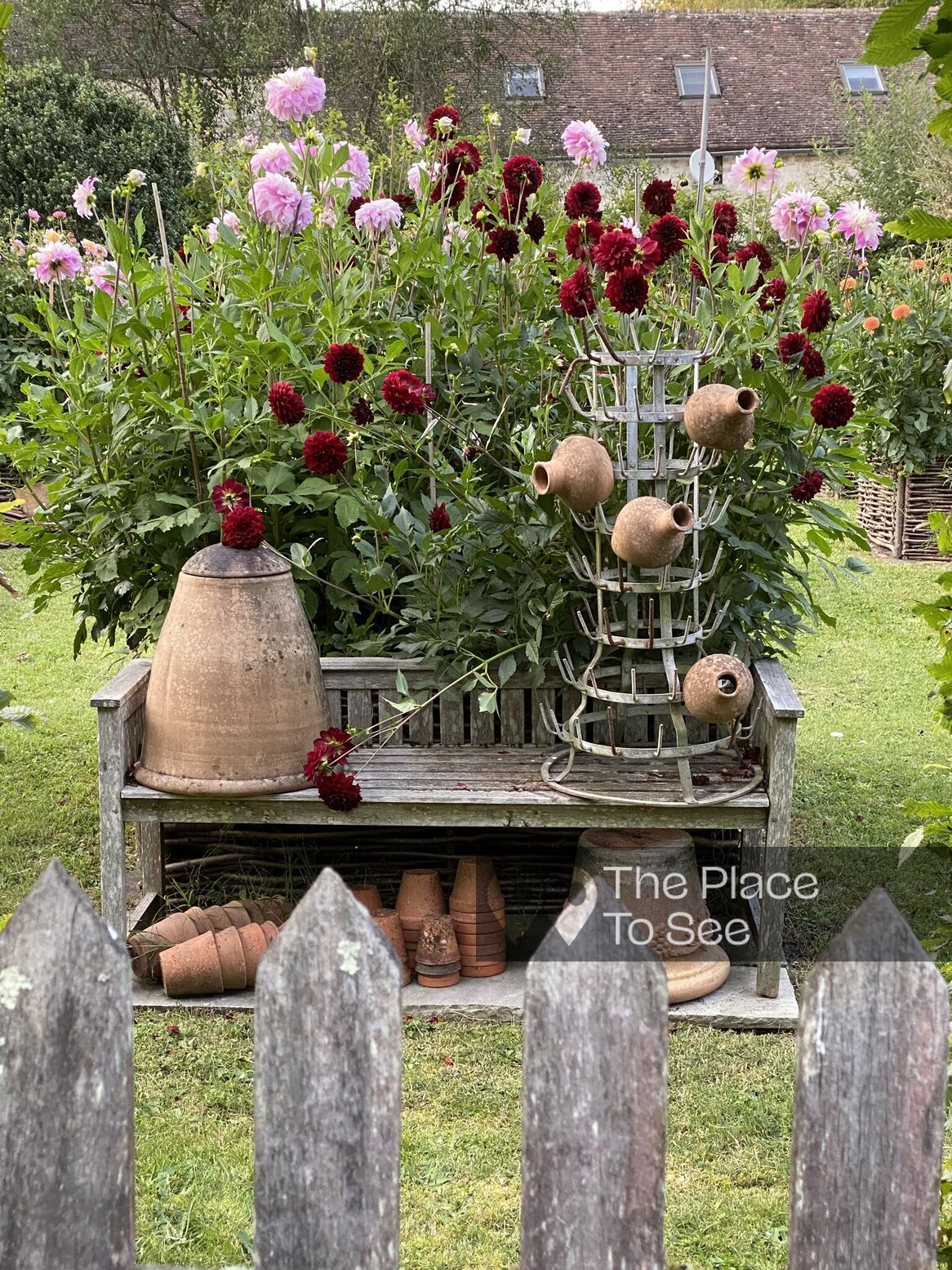 Jardin