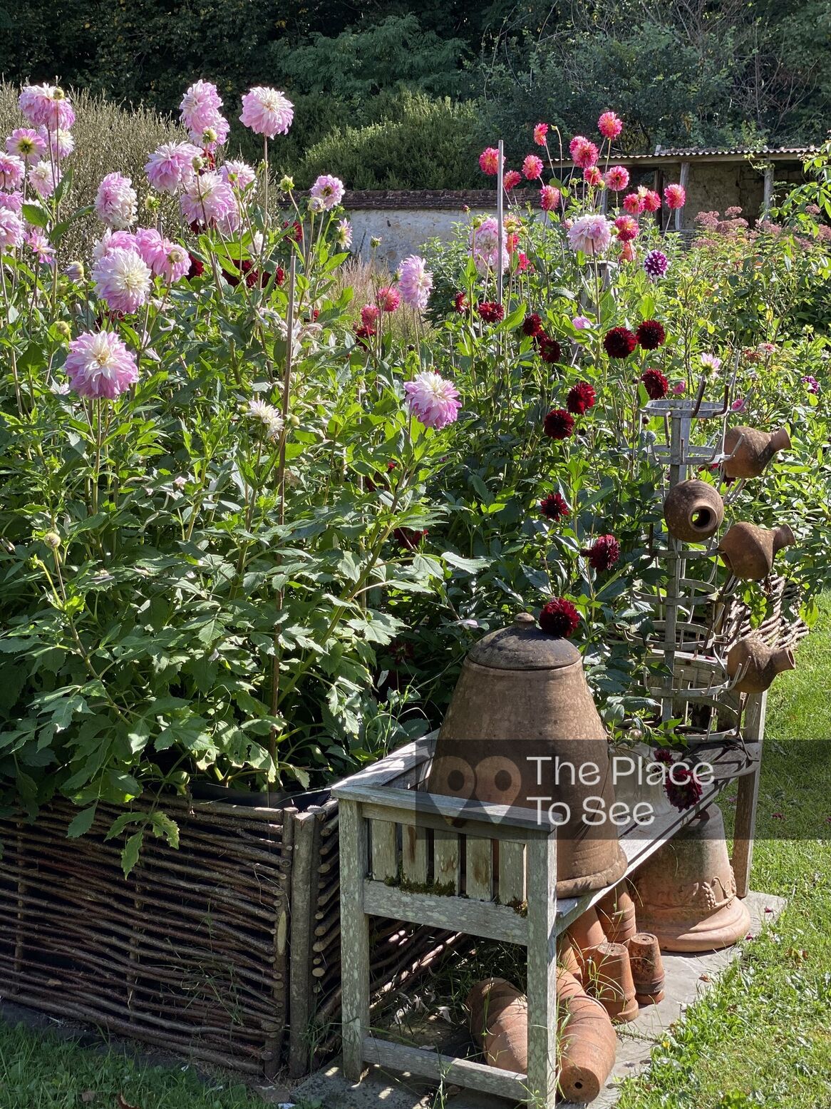 Jardin