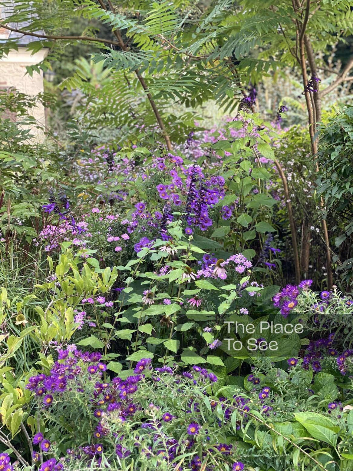 Jardin
