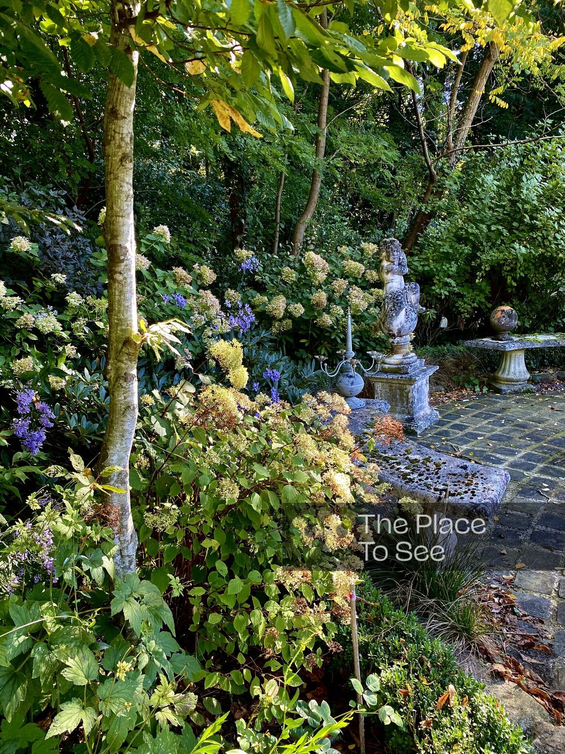 Jardin