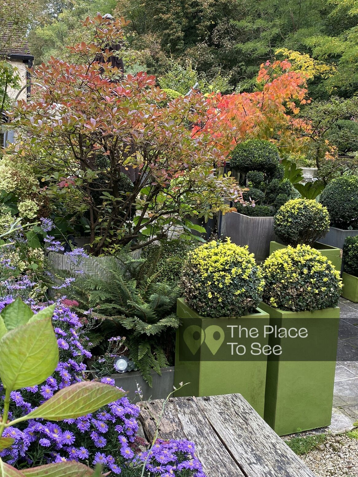 Jardin