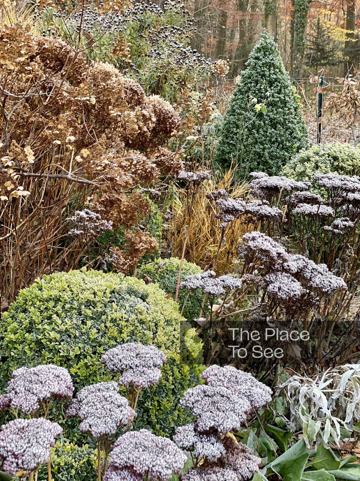 Jardin