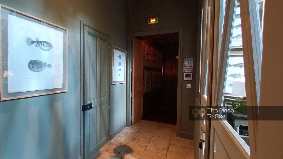Entrée
