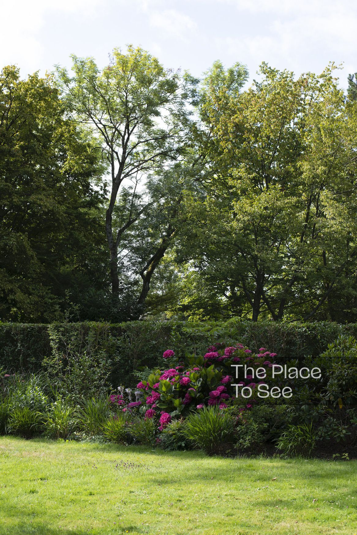 Jardin