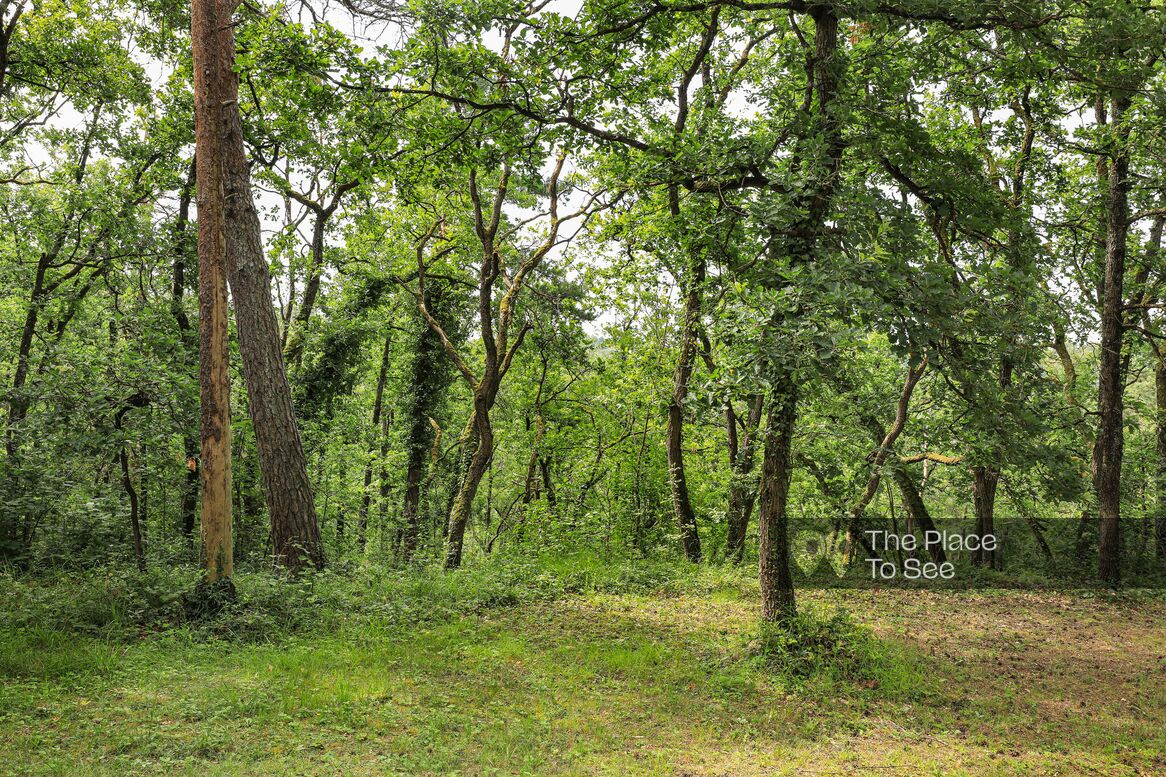 Parc