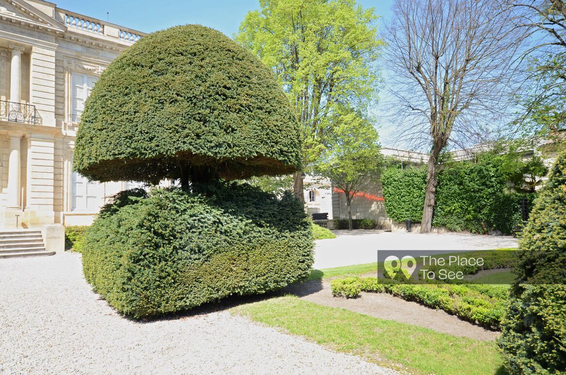 Jardin à la française