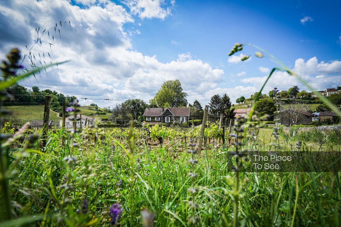Jardin