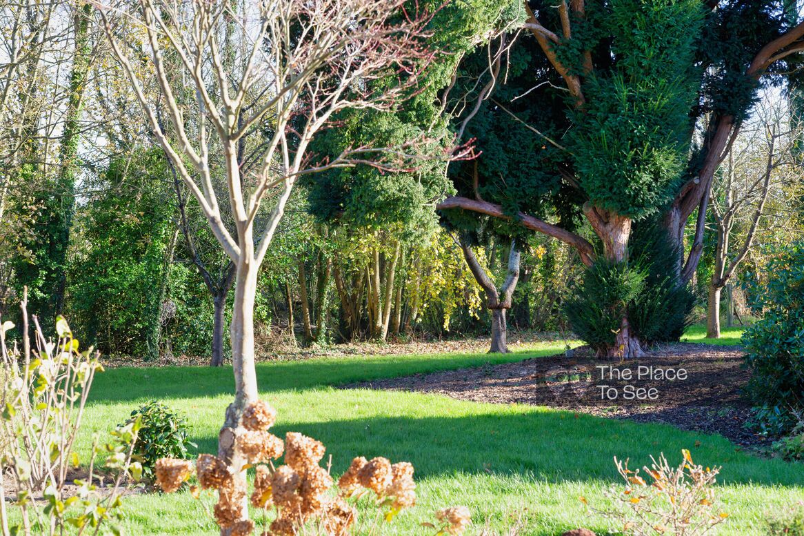 Jardin