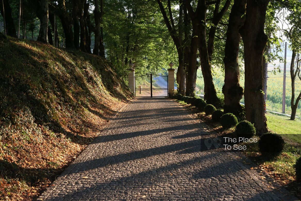 Allée