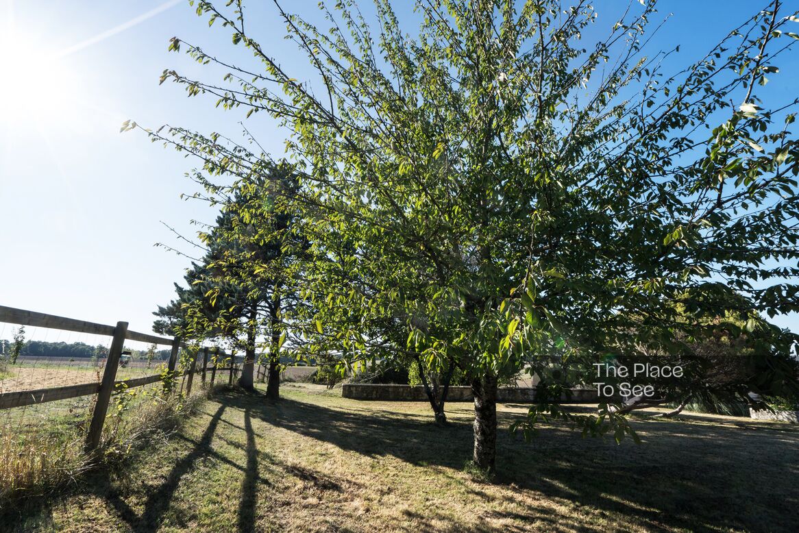 Parc
