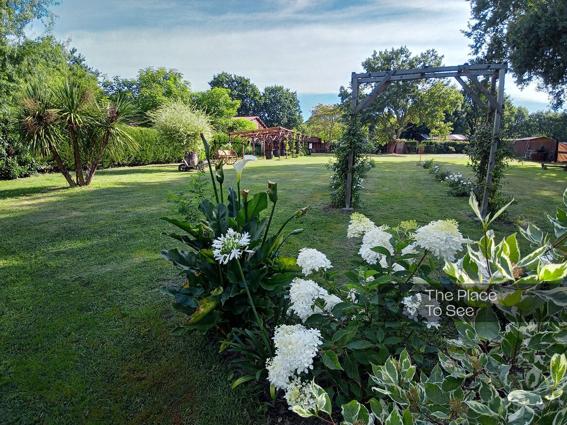 Jardin