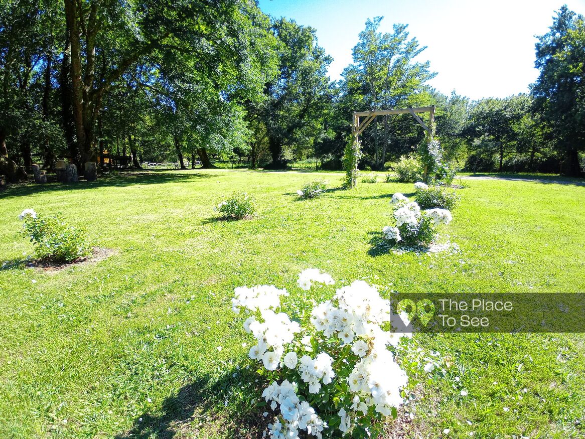Jardin