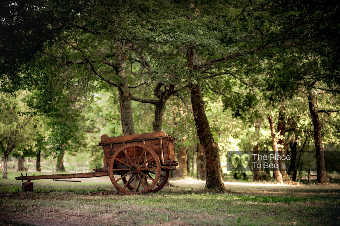 Parc