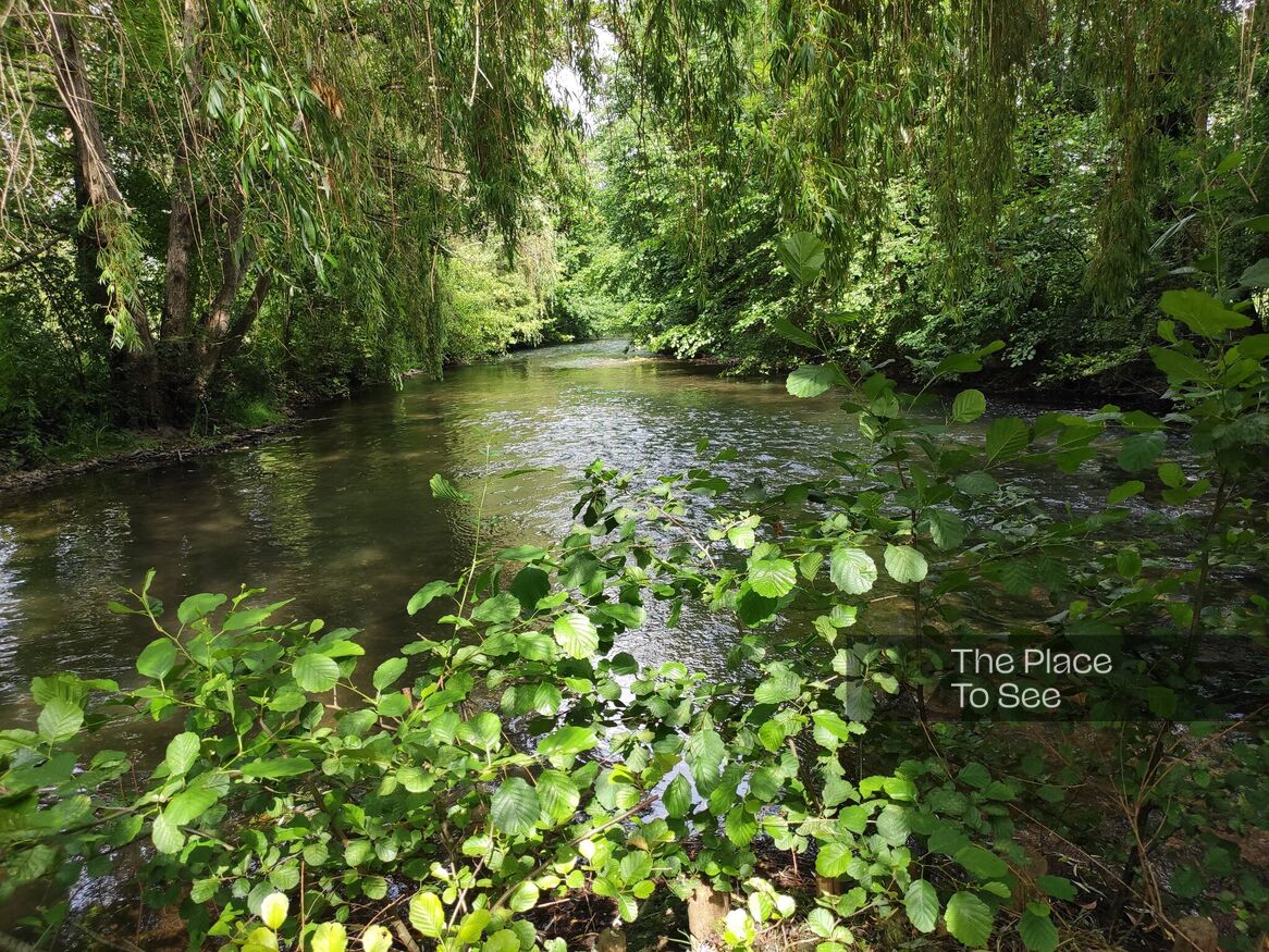 Rivière