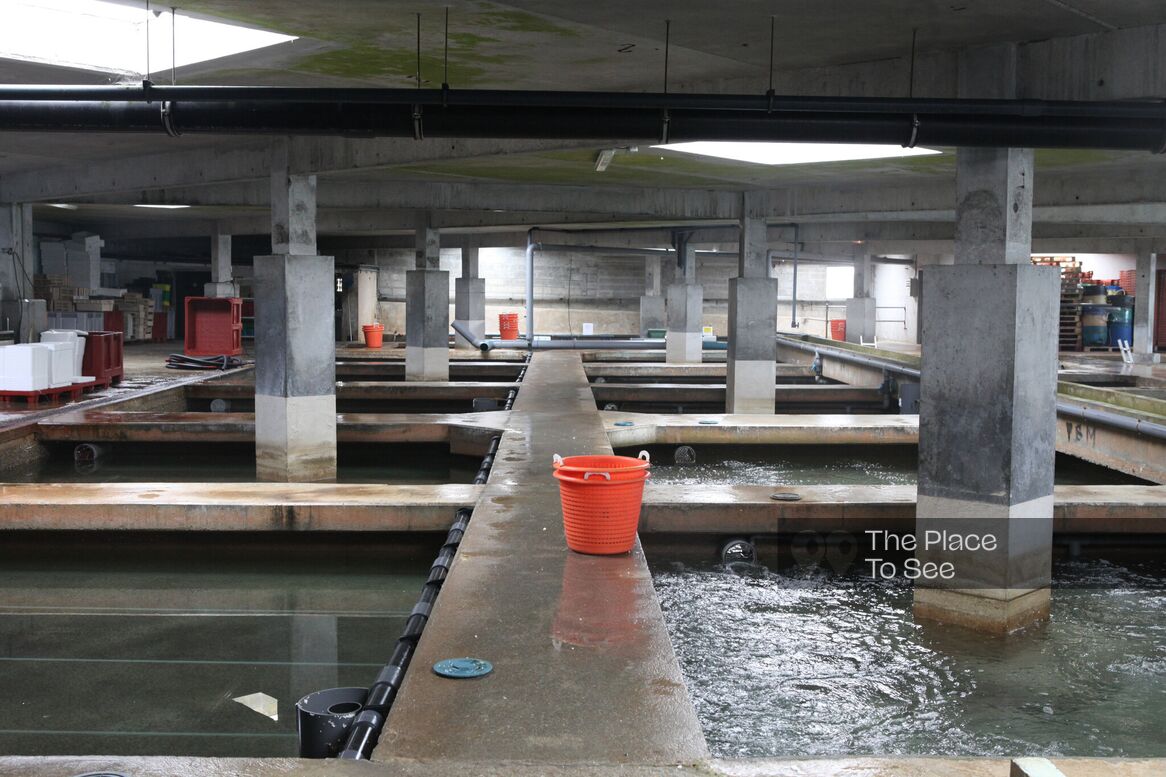 Fontaine/Bassin