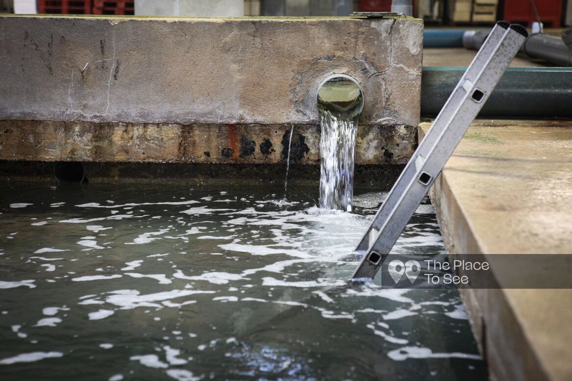 Fontaine/Bassin