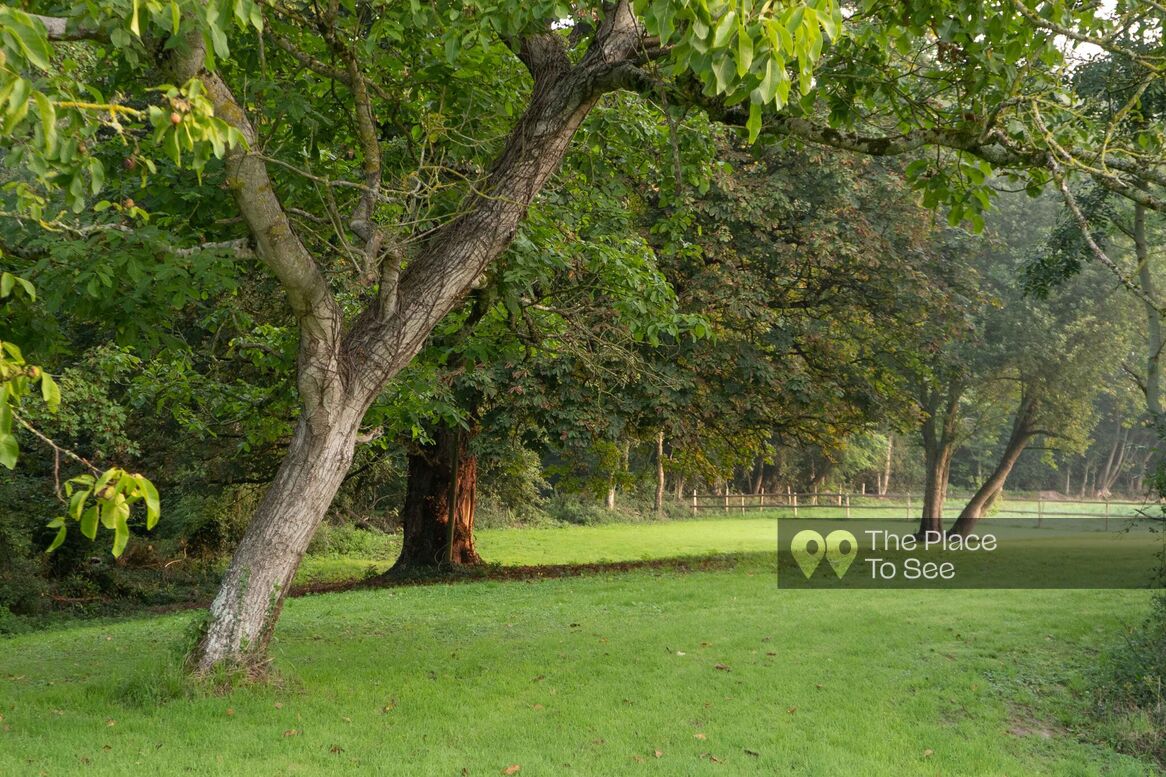 Parc