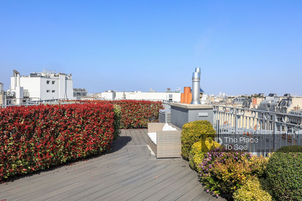 Toit/Rooftop