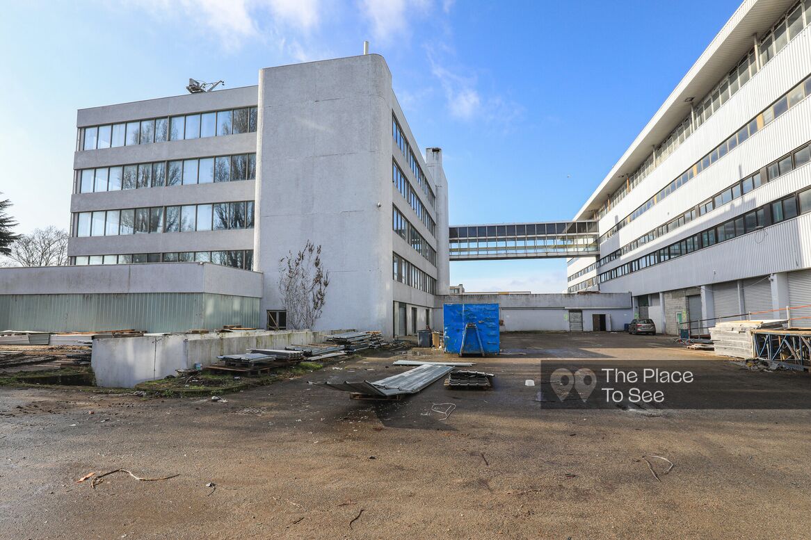 Cour