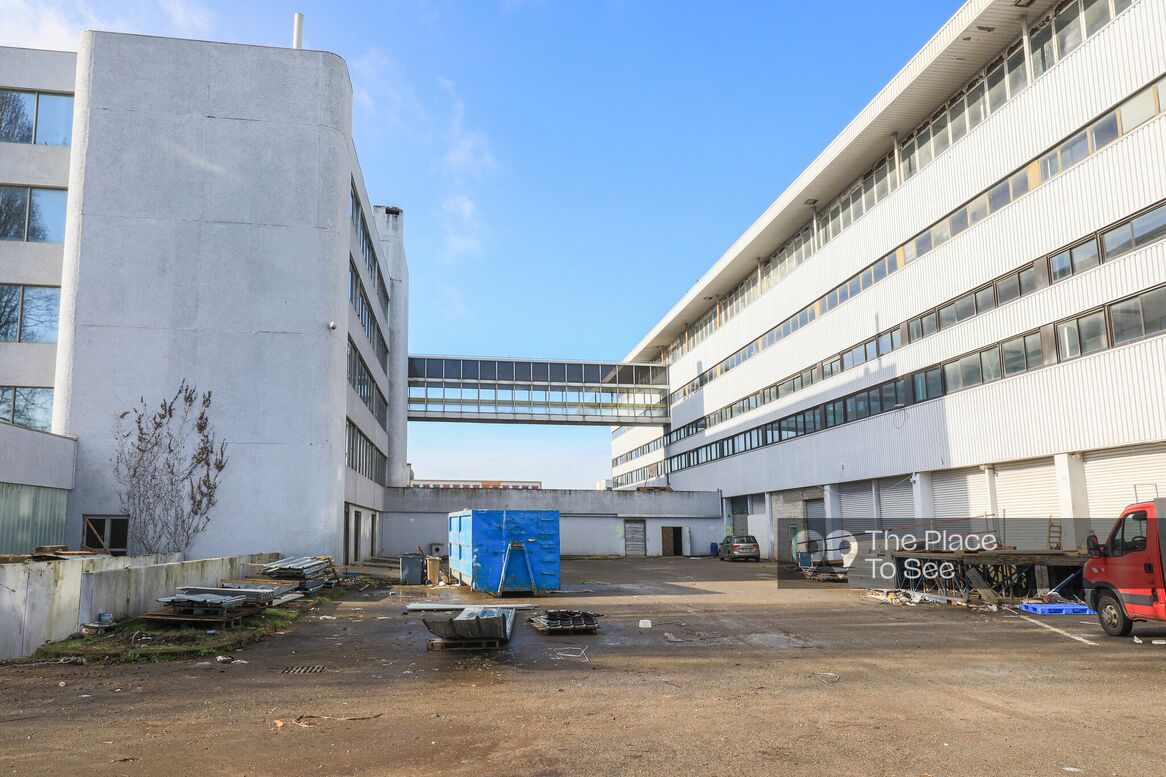 Cour