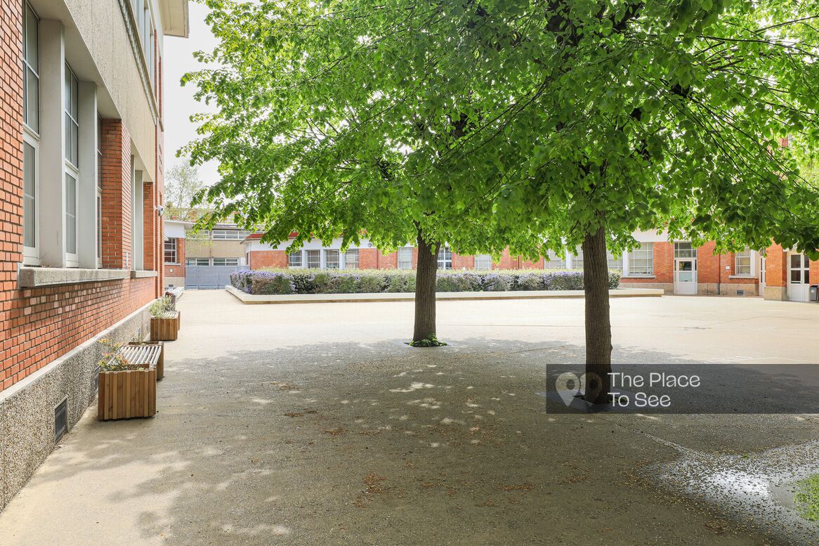 Cour