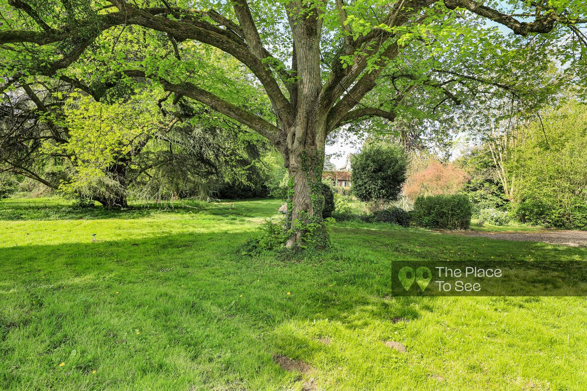 Arbre