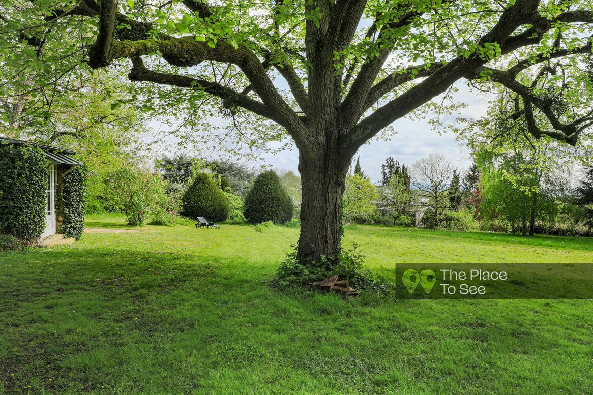 Arbre