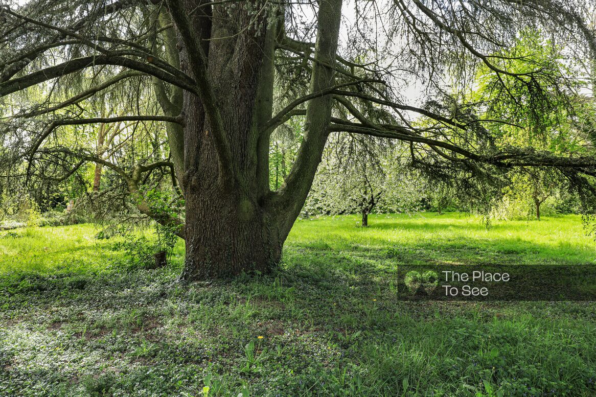 Arbre