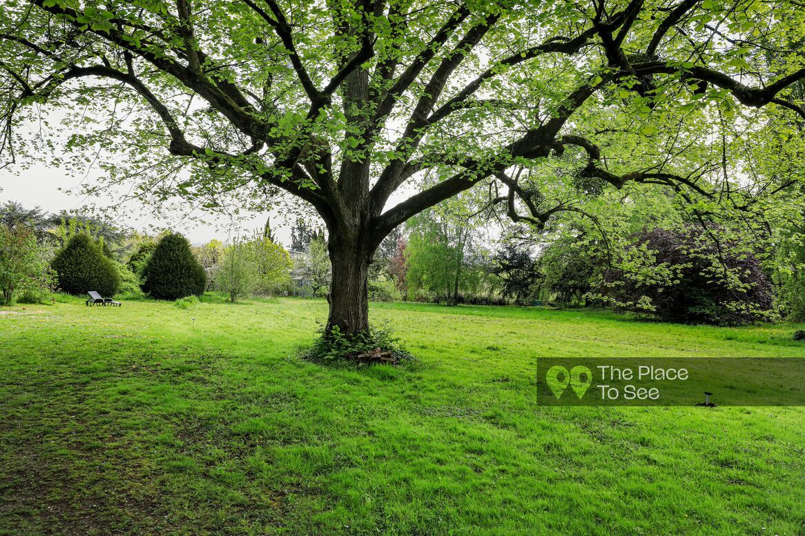 Jardin
