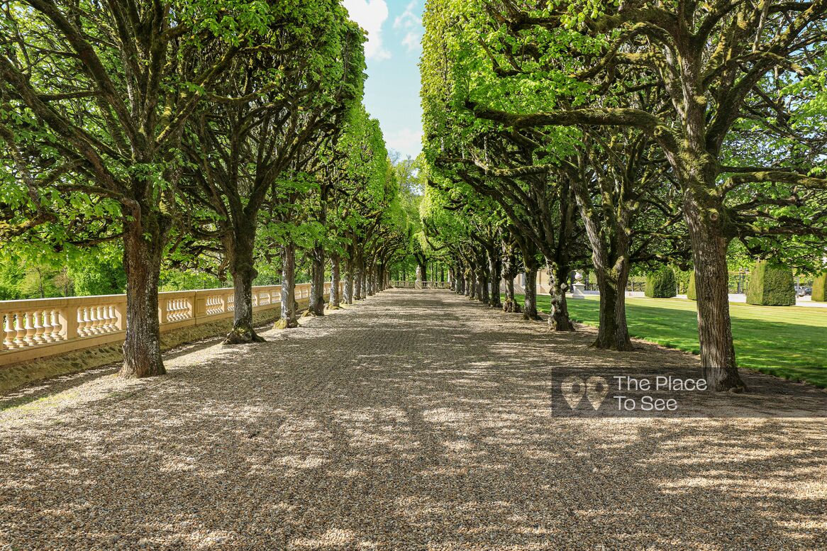 Allée