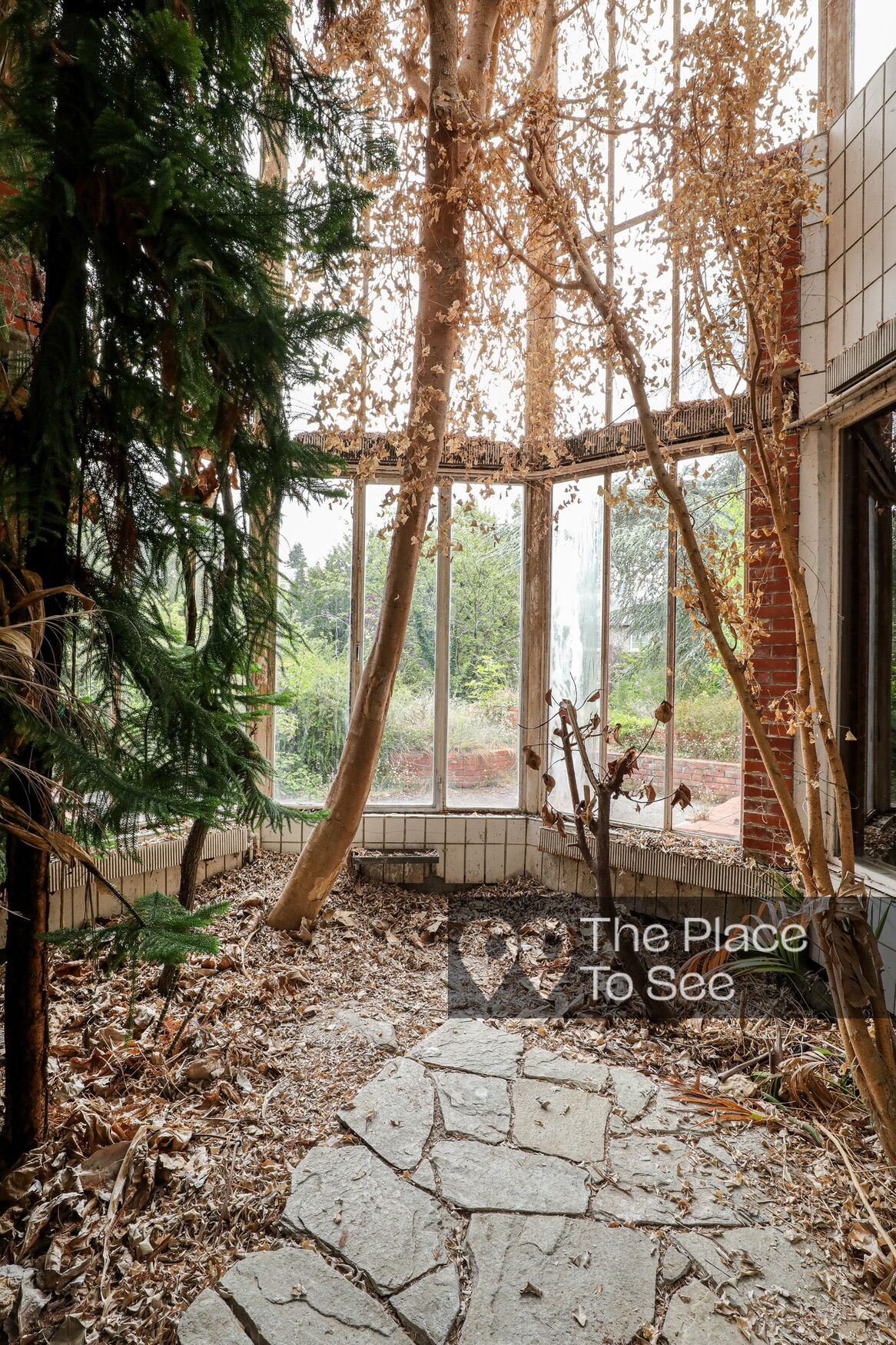 Jardin d'hiver/Patio