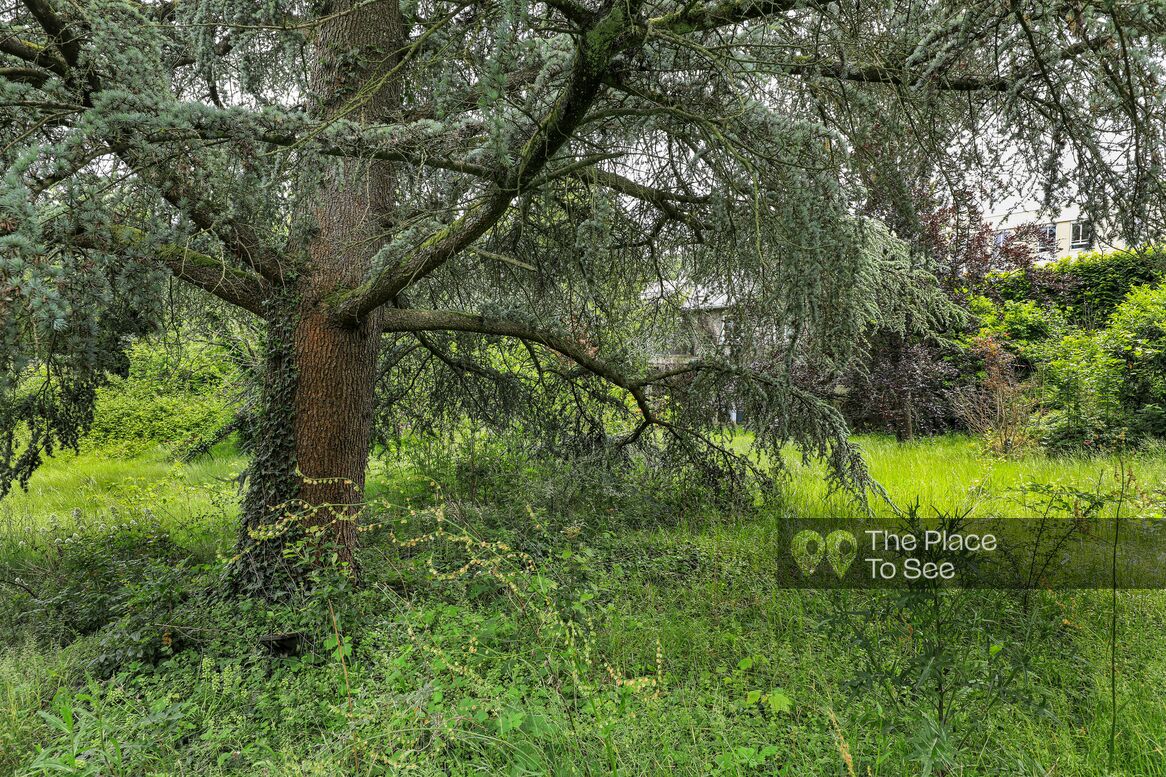 Arbre
