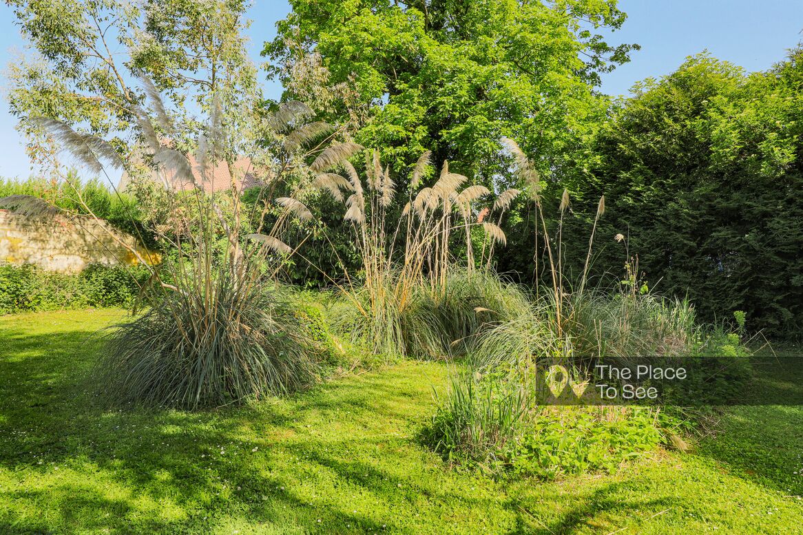Jardin