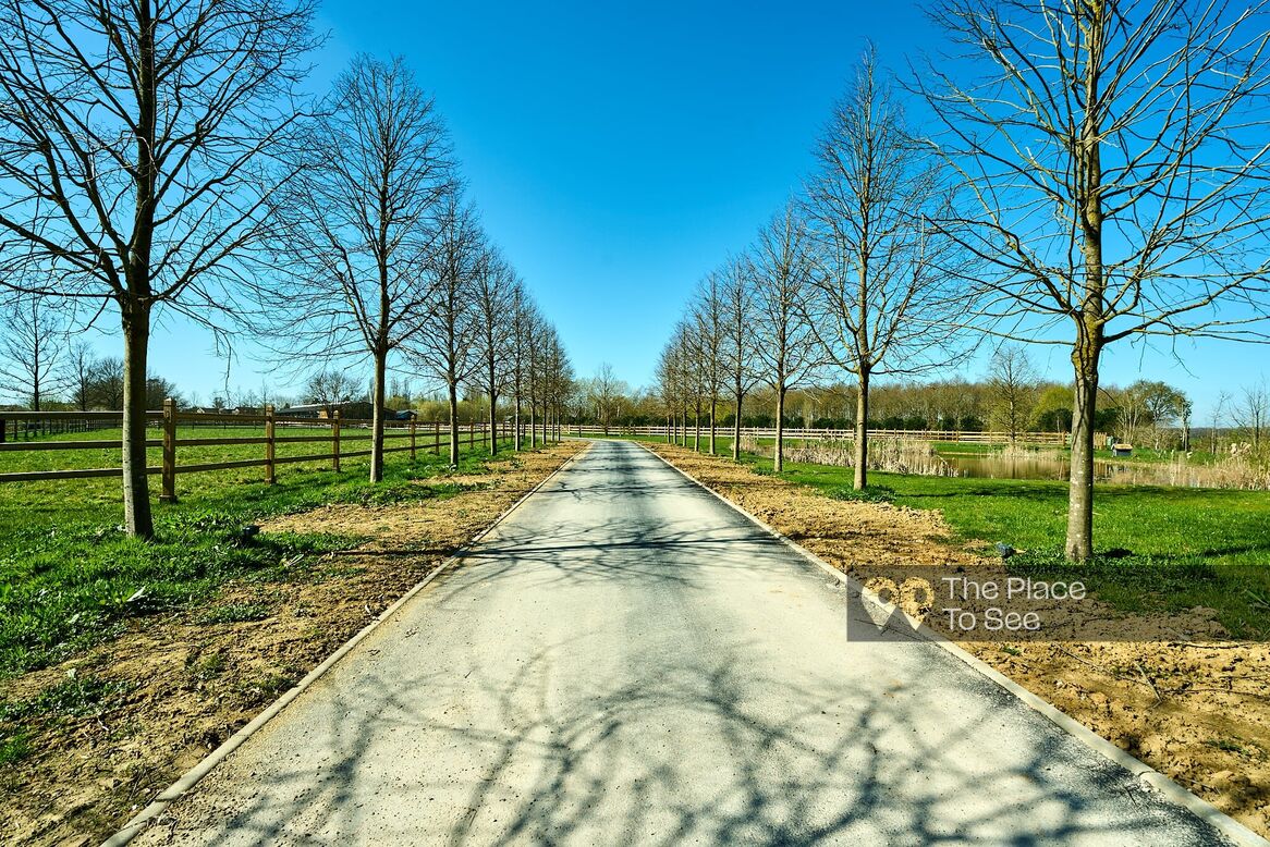 Allée