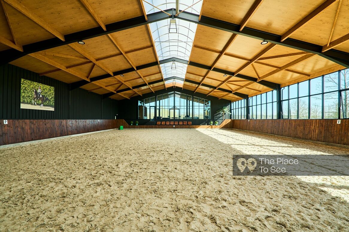 Manège à chevaux