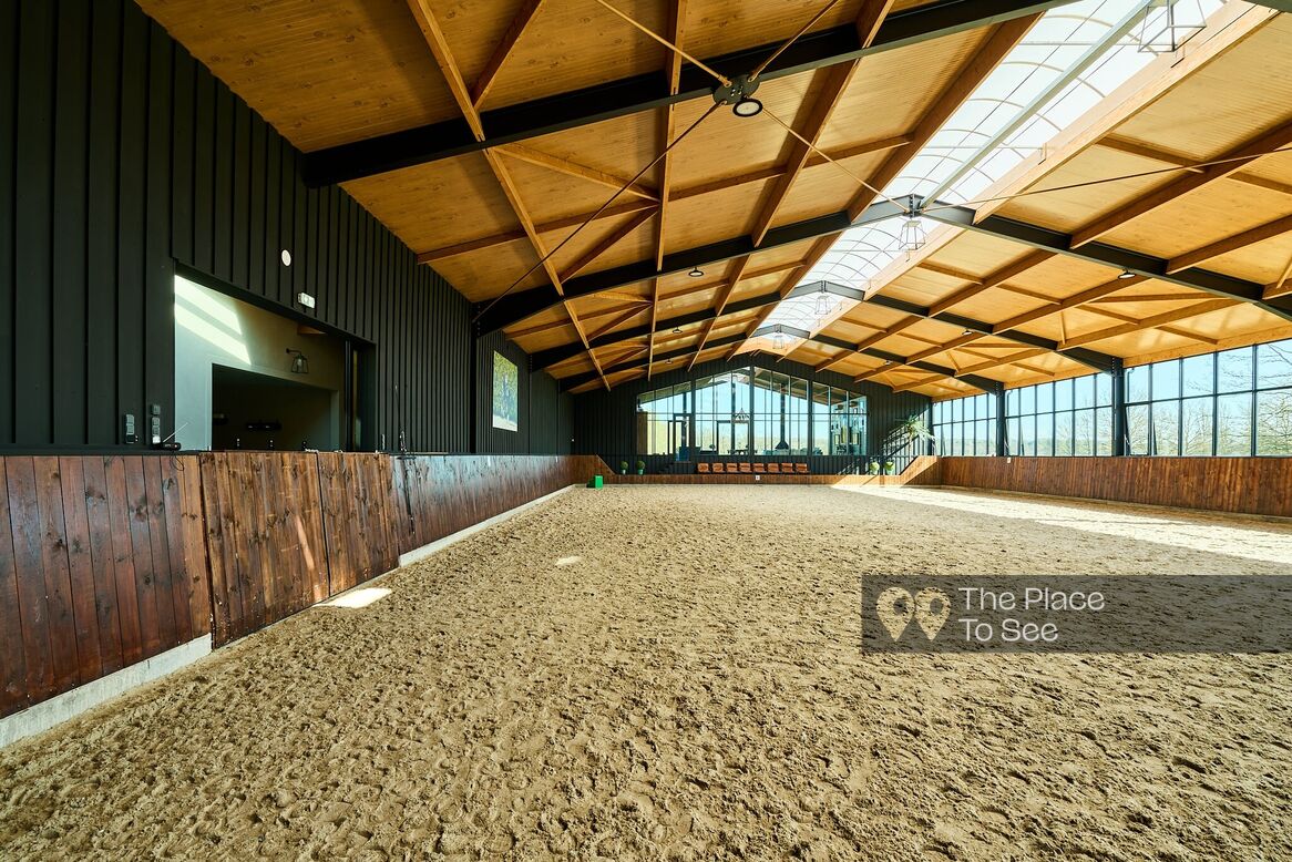 Manège à chevaux