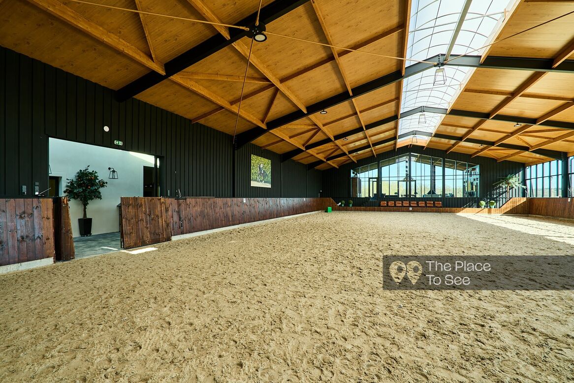 Manège à chevaux