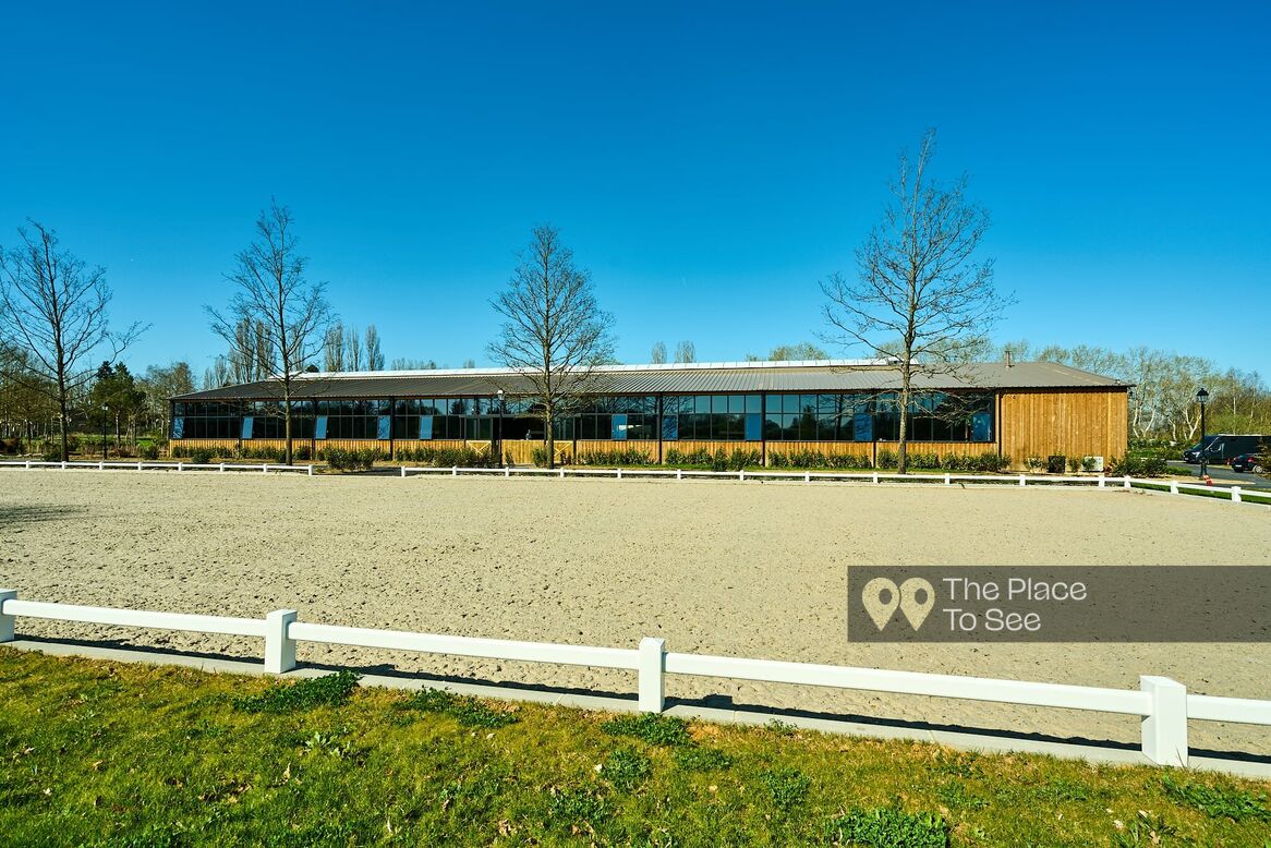 Manège à chevaux