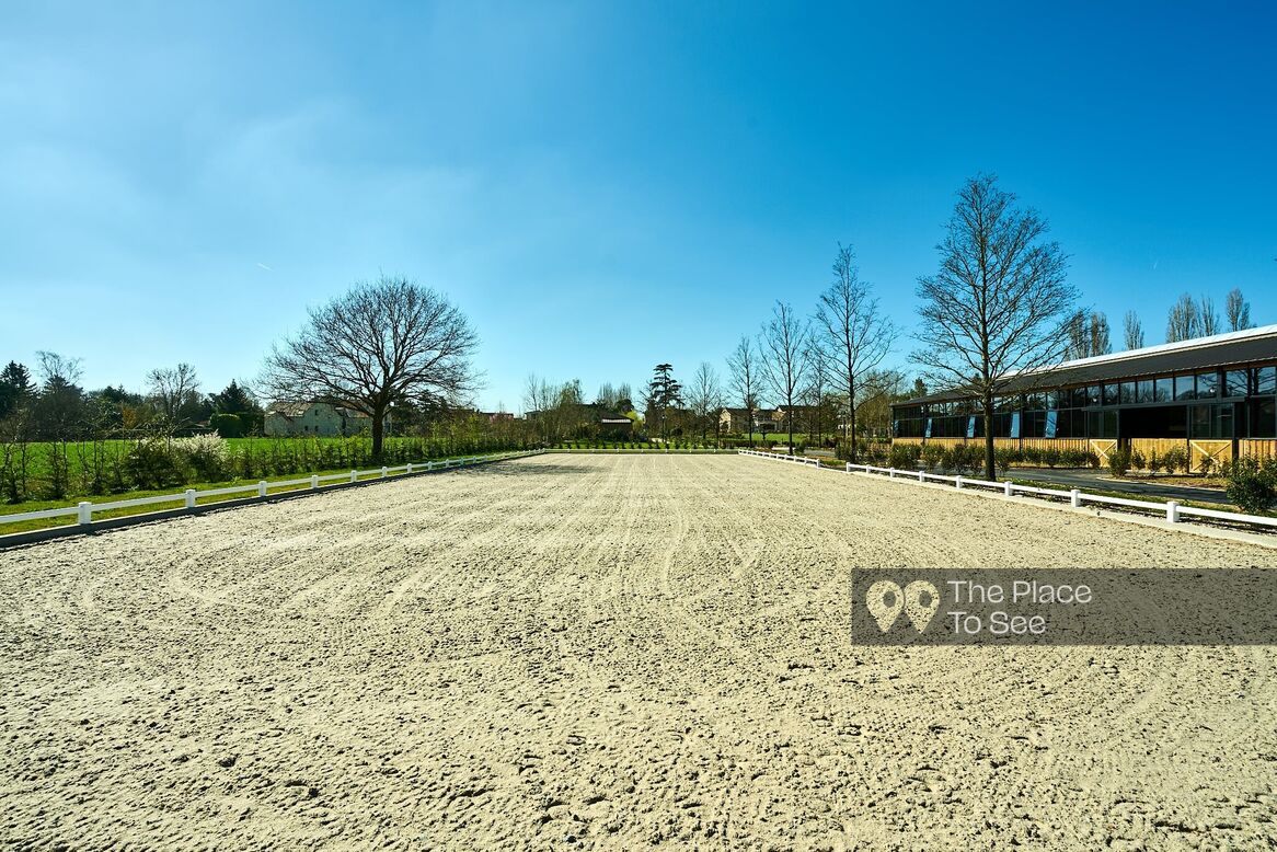 Manège à chevaux