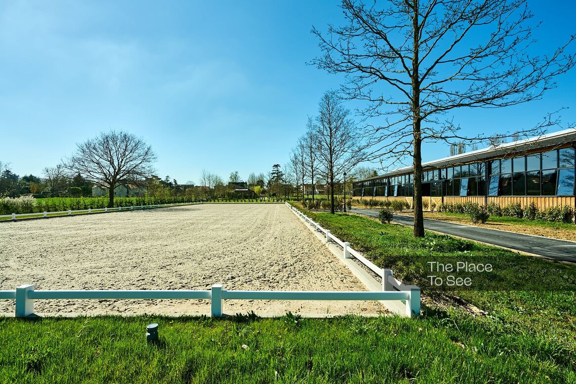 Manège à chevaux