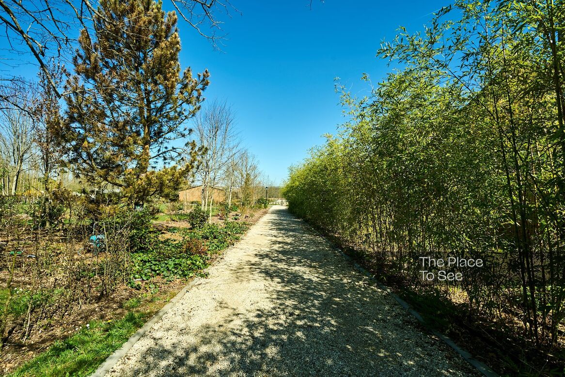 Allée
