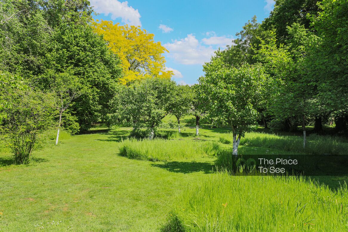 Jardin