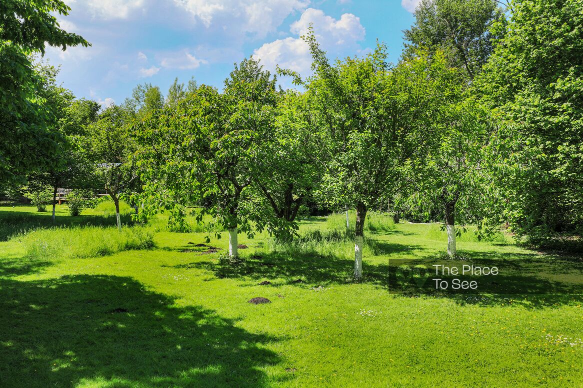 Jardin