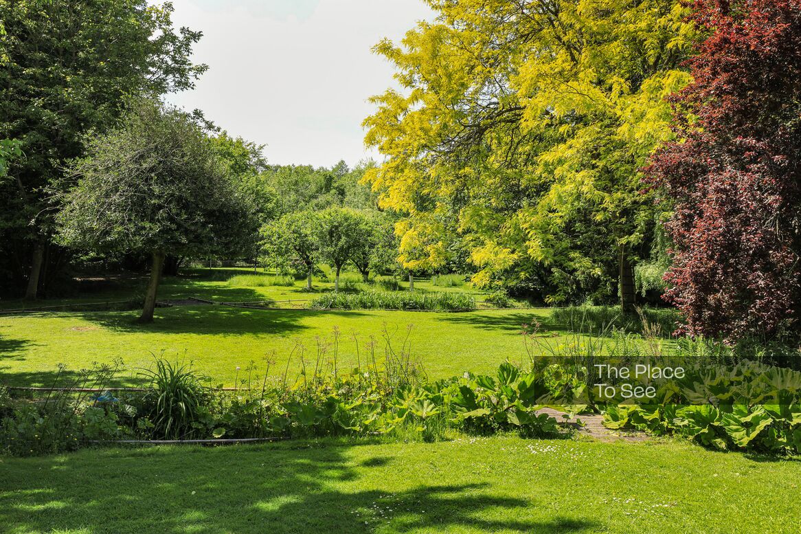 Jardin