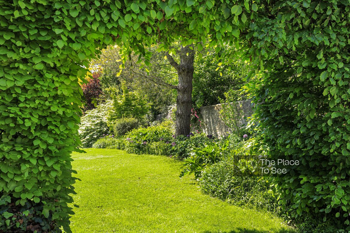 Jardin