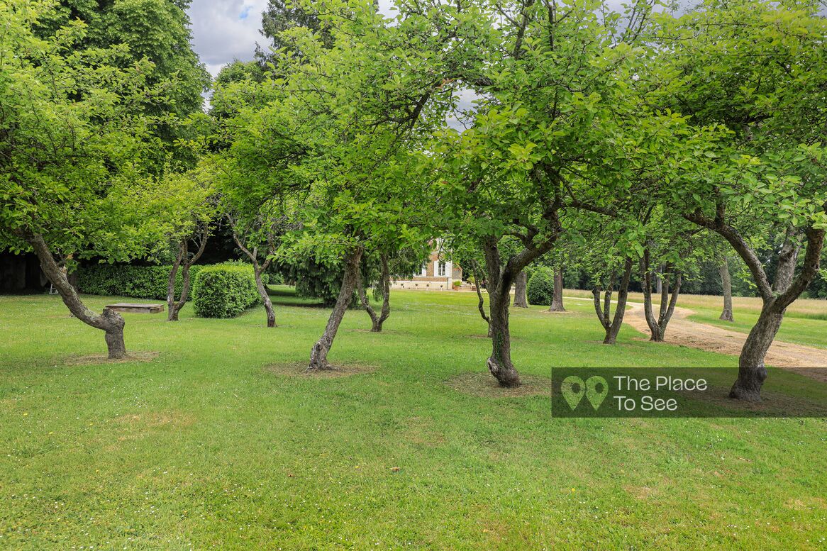 Jardin