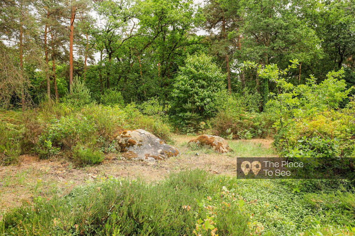 Parc