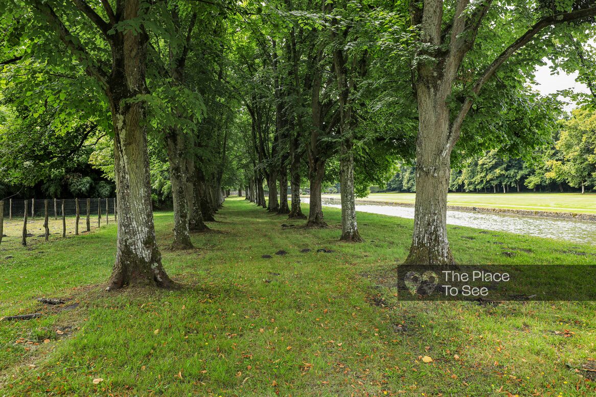 Allée