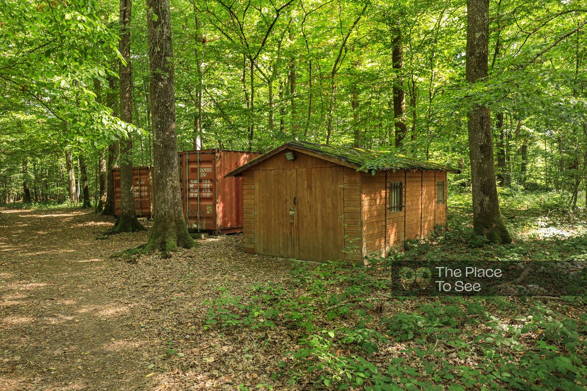 Cabane