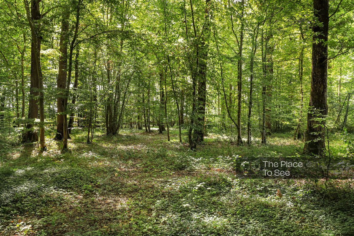 Parc